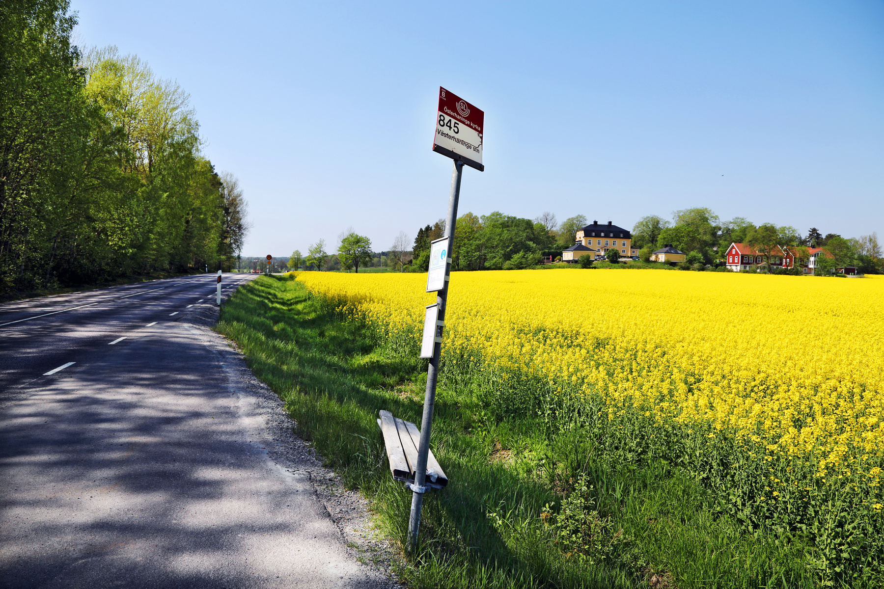 Busshållplats på landsbygden. Foto.